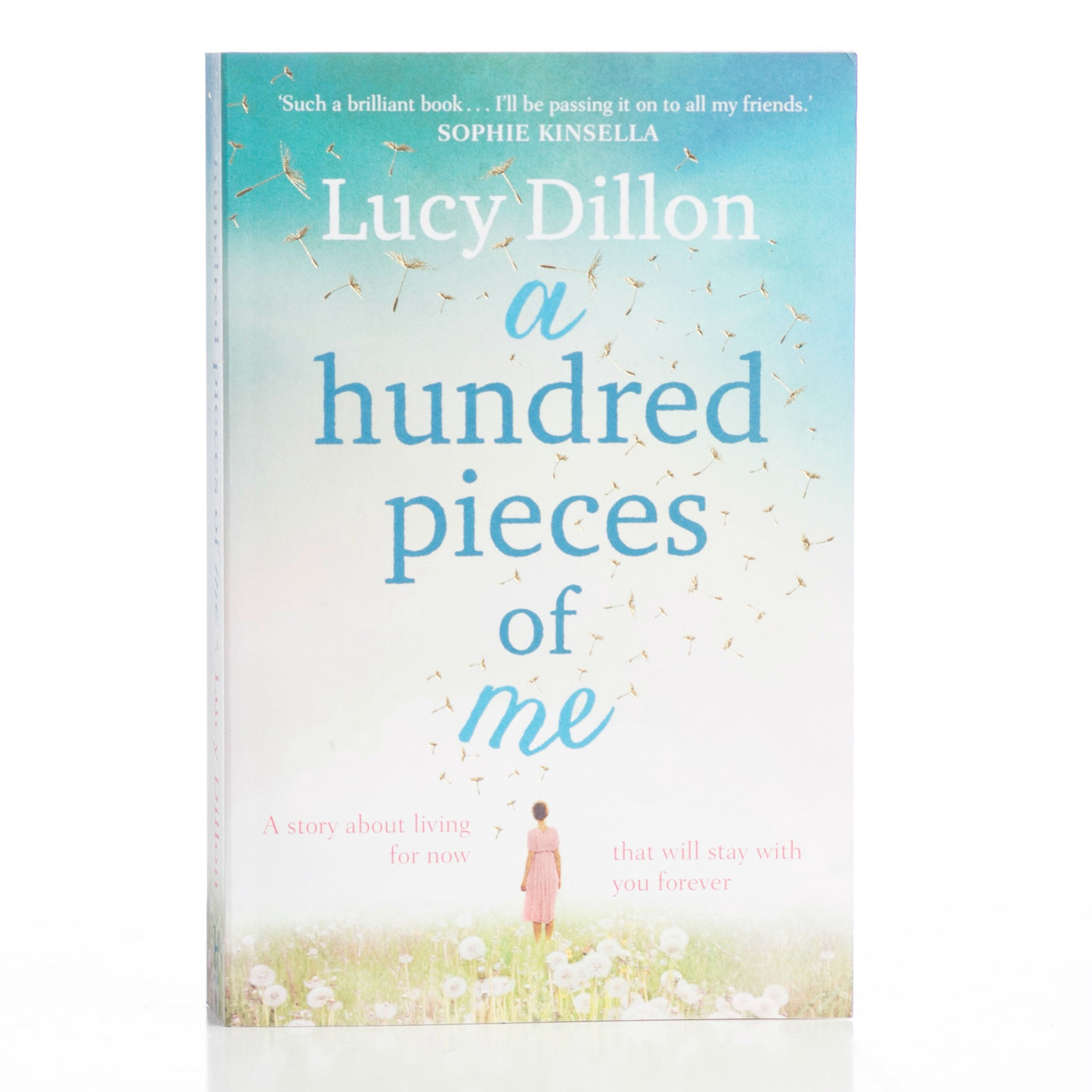 A Hundred Pieces of Me by Lucy Dillon - Feel Better Box