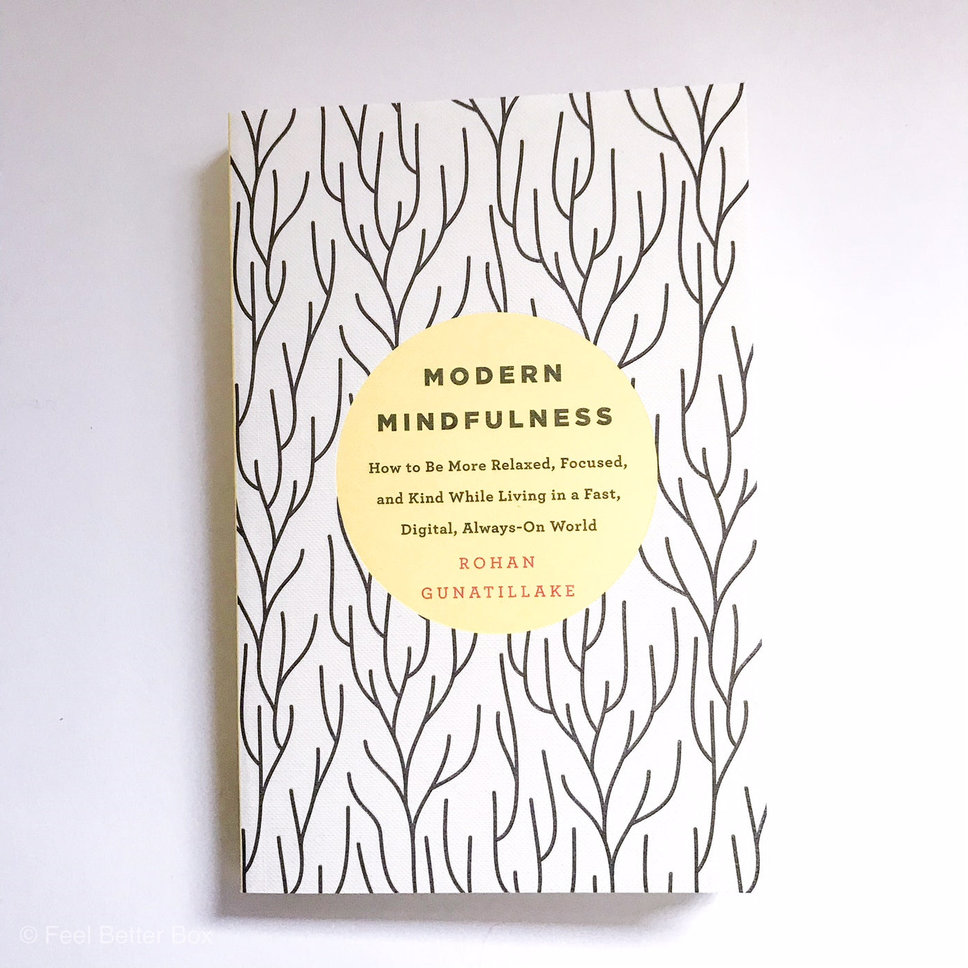Modern Mindfulness Book