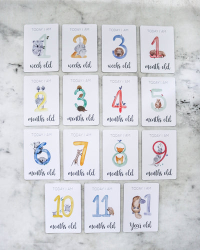 Baby Milestone Cards